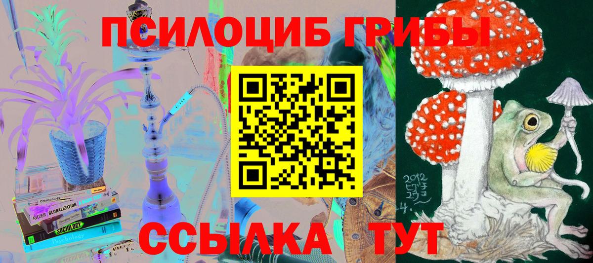 Псилоцибиновые грибы прущие грибы  Псилоцибиновые грибы Psilocybe  Вход с VPN  Реж 